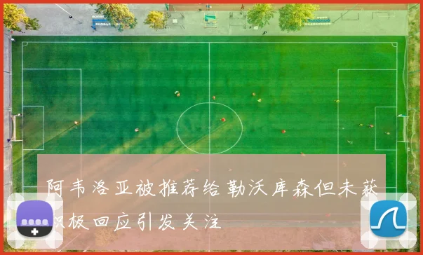 阿韦洛亚被推荐给勒沃库森但未获积极回应引发关注